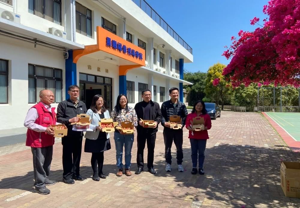 Chief Prosecutor Lin presents Dahu strawberries as a gift